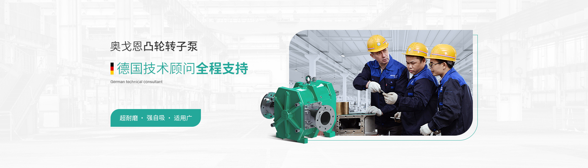 奧戈恩凸輪轉子泵研發(fā)生產(chǎn)廠家